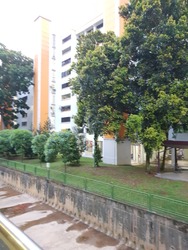 Blk 162 Woodlands Street 13 (Woodlands), HDB 5 Rooms #177223092